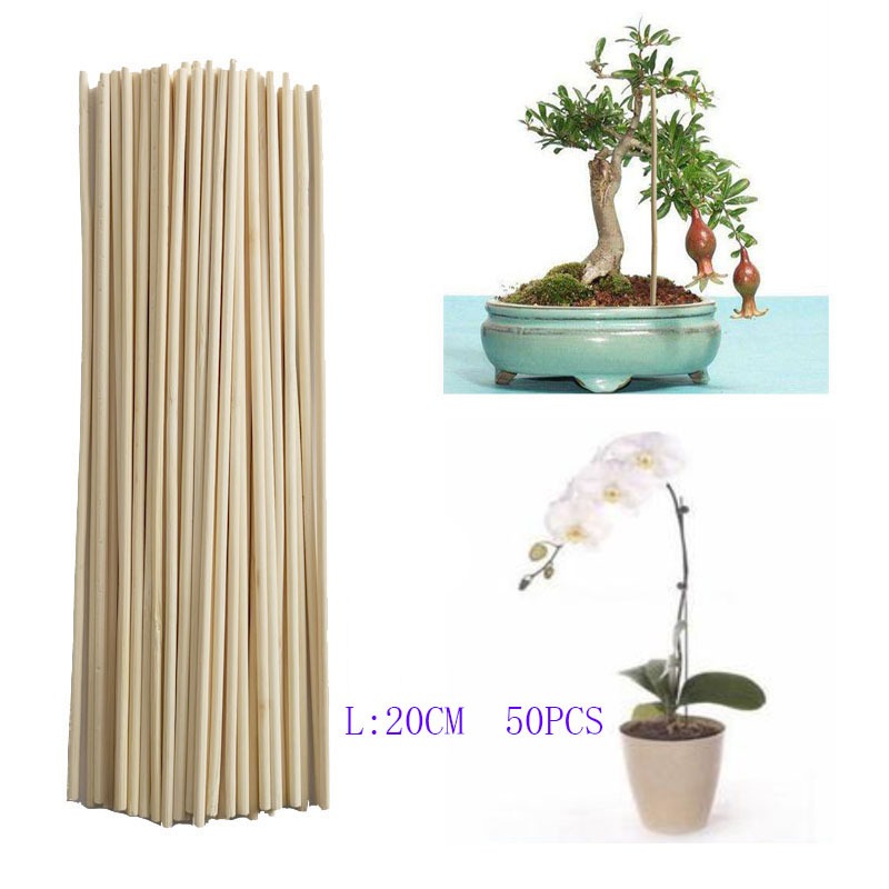 Art Craft Stick - ไม้ไผ่ขนาด 20 ซม. จำนวน 50 ชิ้น