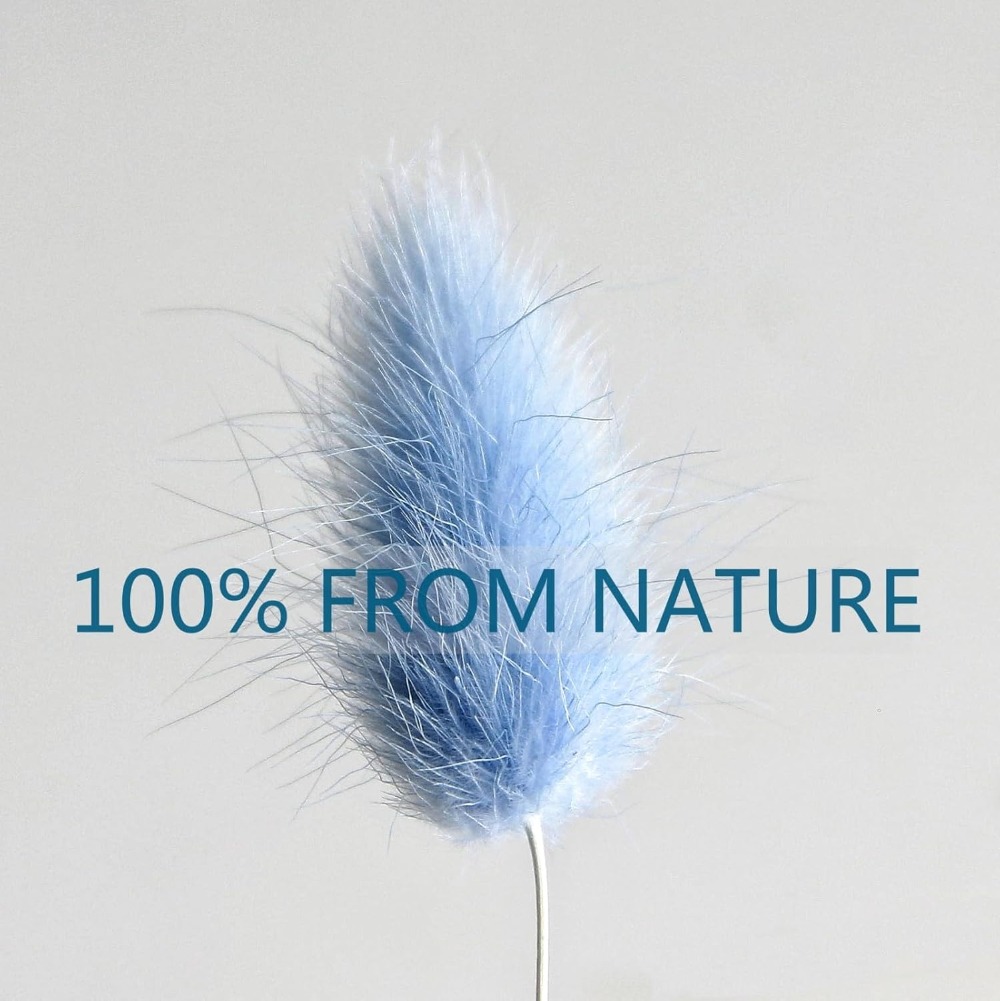 100PCS Blue Hare's-tail หญ้ากร - Art Craft Vase บทวิจารณ์และราคา